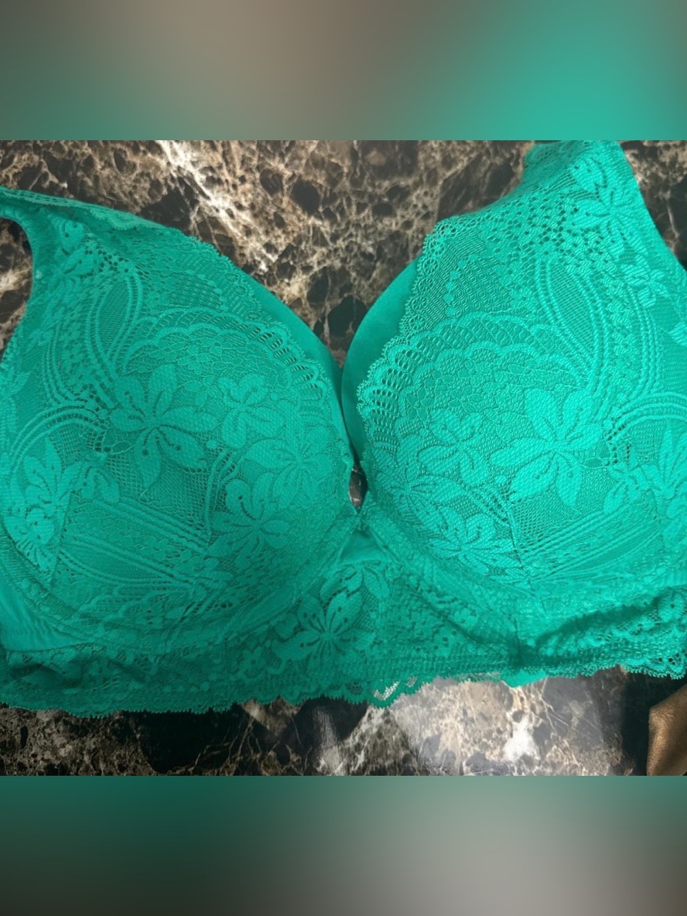 Cacique Emerald Green Lace Plunge Bra